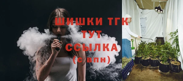 амф Богородицк